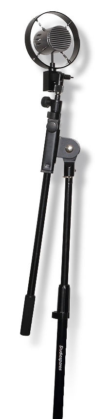 Kate Skellern - The Brave Voice